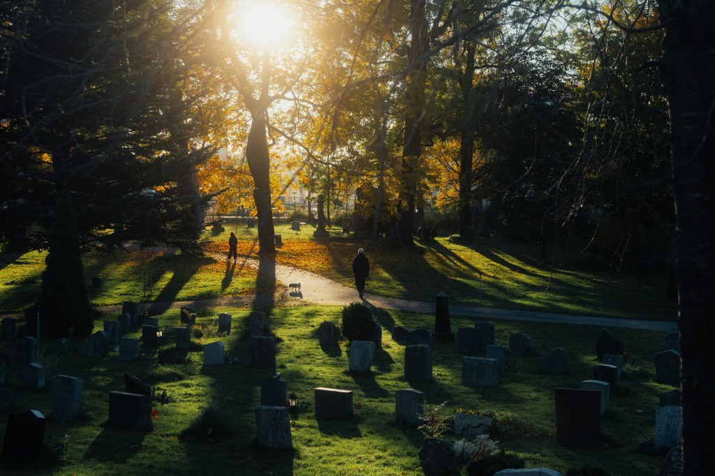 Photo by Eirik Skarstein at Unsplash, showing a graveyard at sunrise.